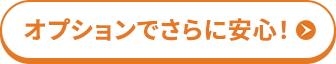 オプションでさらに安心！